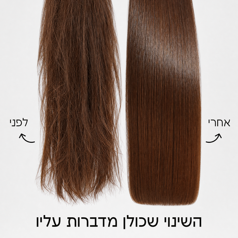 מארז פרומון פלוס